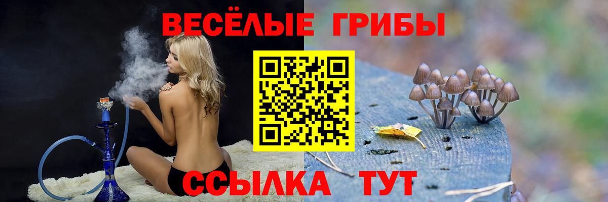 Галлюциногенные грибы мицелий  Вход с VPN  Коломна 