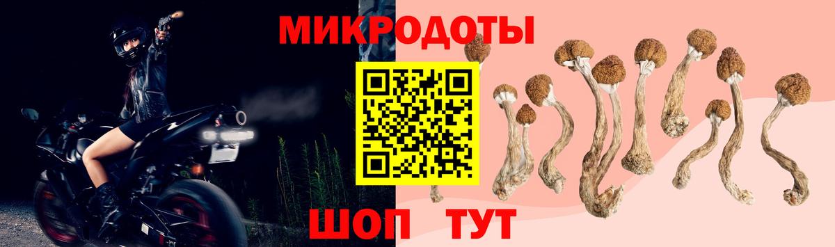 Псилоцибиновые грибы MAGIC MUSHROOMS Коломна